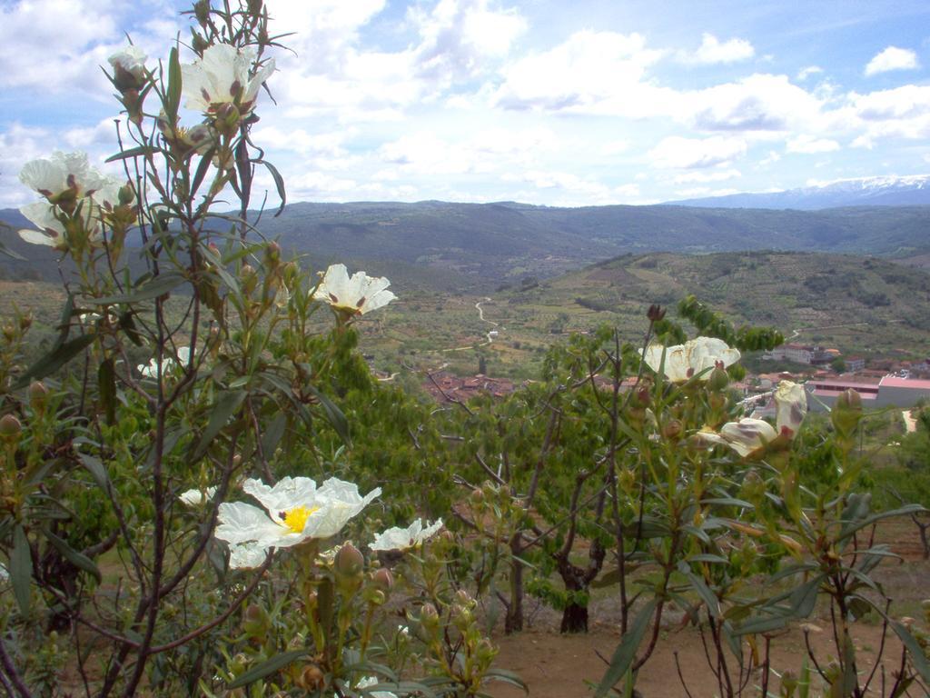 Sotoserrano Hotel Rural Sierra De Francia מראה חיצוני תמונה